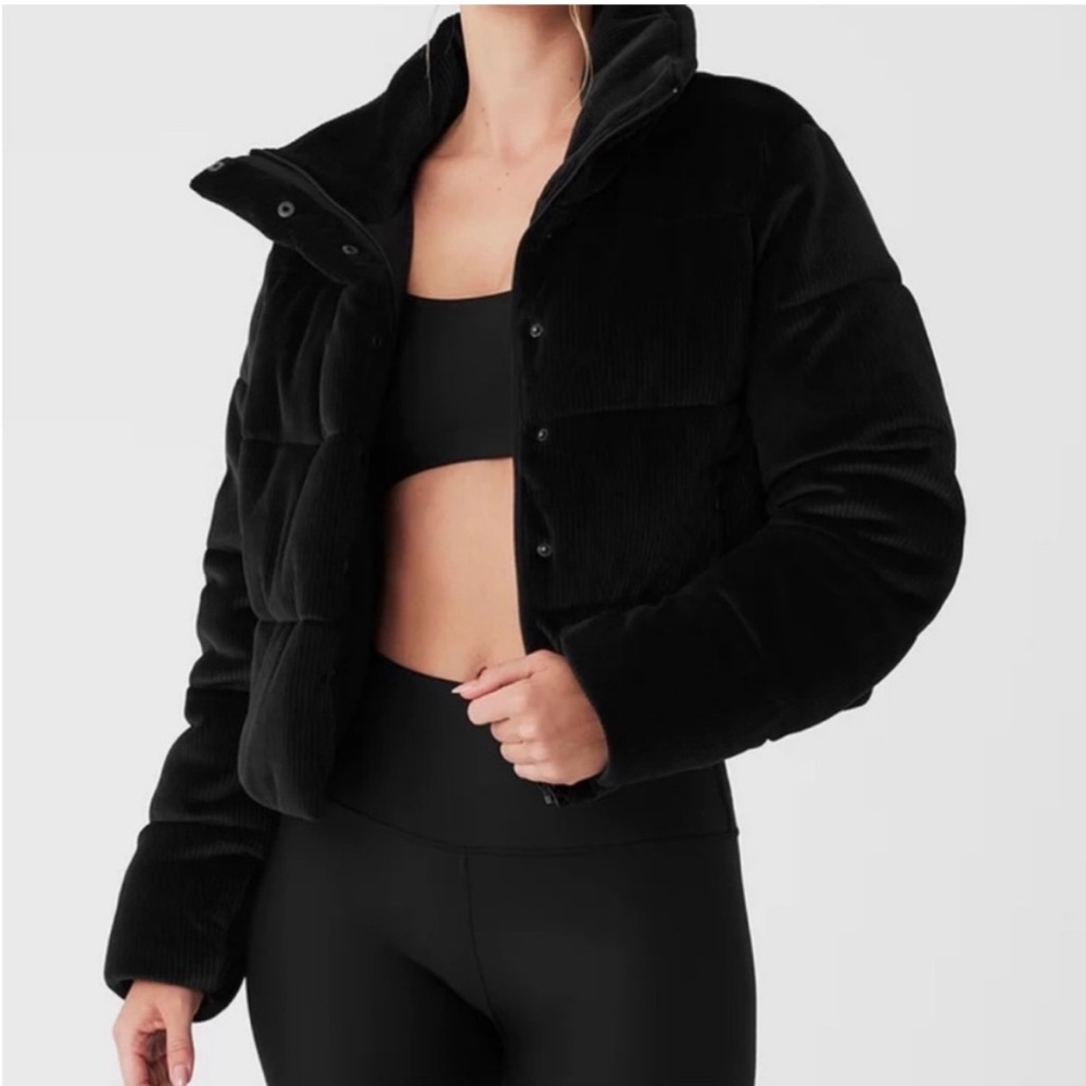 Ribbed Velour Gold Rush Puffer
